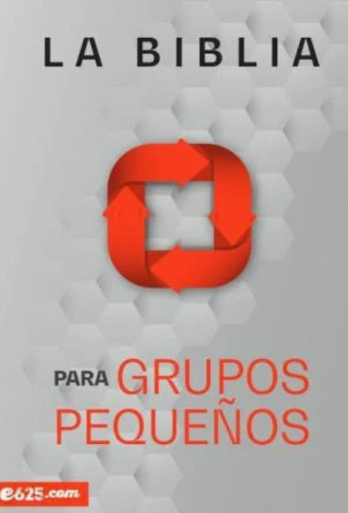 Biblia NBV (nueva biblia viva) para grupos pequeños, rústica
