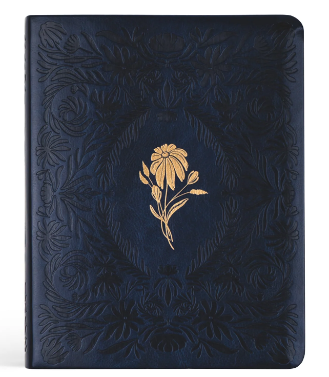 VERSAILLES — NLT Notetaking Bible English Version
