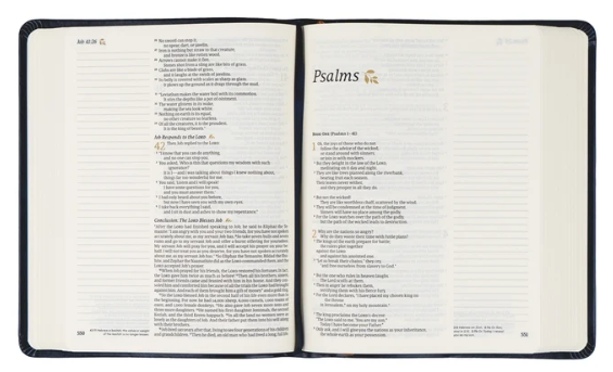 VERSAILLES — NLT Notetaking Bible English Version